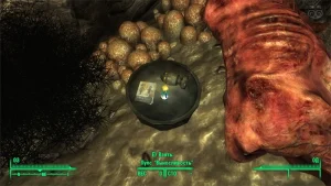Fallout 3: Пупс «Выносливость» - точное местонахождение