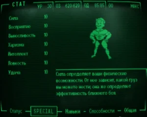 Fallout 3 pipboy SPECIAL