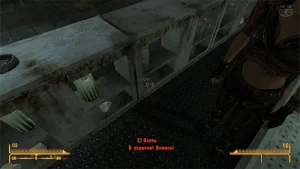 Fallout New Vegas: Книга навыков «В укрытие! Ложись!» - точное местоположение