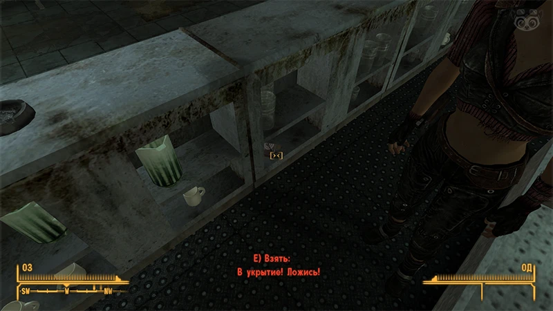 Fallout New Vegas: Книга навыков «В укрытие! Ложись!» - точное местоположение